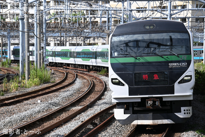 【JR東】臨時特急「熱海海上花火大会号」運行を大船駅で撮影した写真