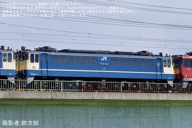 【JR貨】EF65-2101+EH500-10 大宮車両所入場を梶ヶ谷タ～府中本町間で撮影した写真