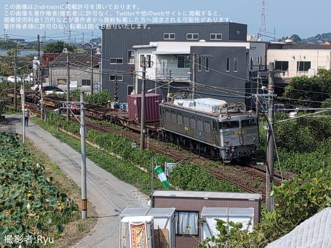 【JR貨】EF81-303(銀釜)が踏切事故に遭遇を不明で撮影した写真