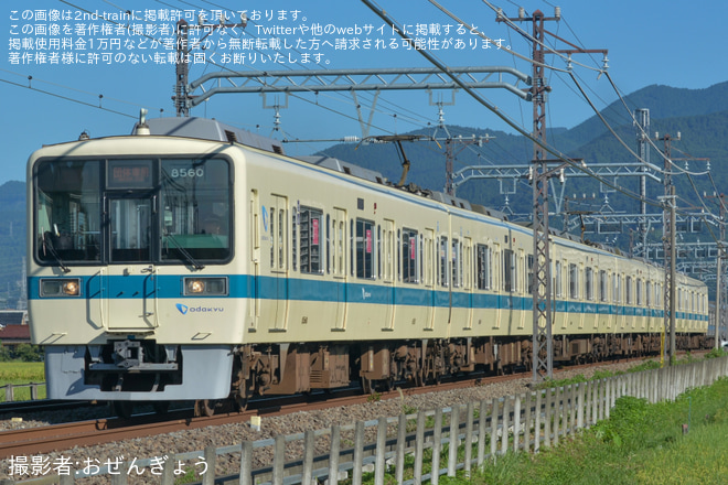 【小田急】8000形8260F(8260×6)団体専用列車(20240905)