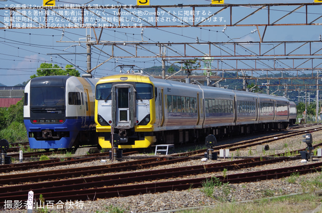 【JR東】特急「ビューさざなみ」が臨時運行(2024年9月) を館山駅電留線で撮影した写真