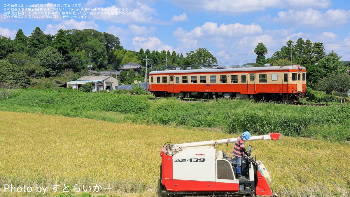 いすみ】「キハ52-125」が臨時運行(2024年9月) |2nd-train鉄道ニュース
