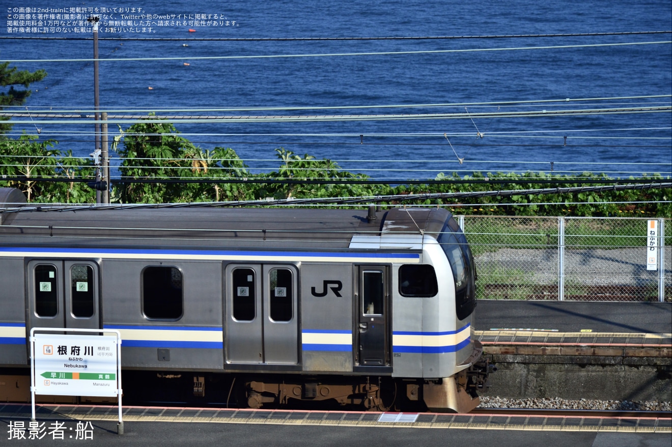 【JR東】E217系 クラY-29編成 湯河原疎開回送の拡大写真