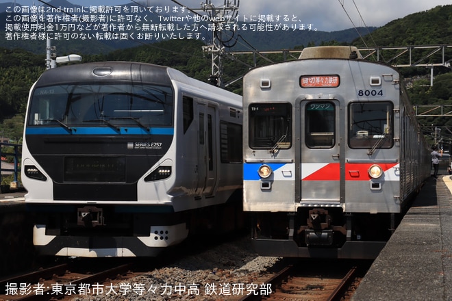 【伊豆急】8000系TB4編成がトリコロールカラーにラッピングされ団臨として運転