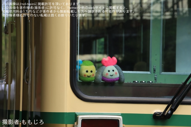【京福】「新・江ノ電号」運転開始を不明で撮影した写真
