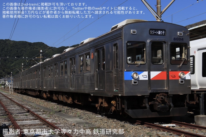 【伊豆急】8000系TB4編成がトリコロールカラーにラッピングされ団臨として運転