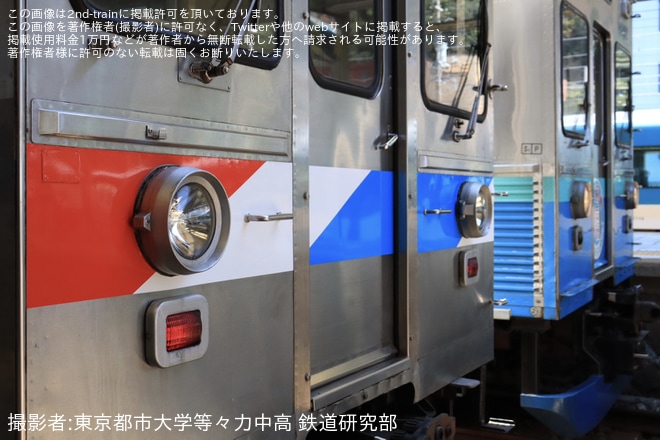 【伊豆急】8000系TB4編成がトリコロールカラーにラッピングされ団臨として運転
