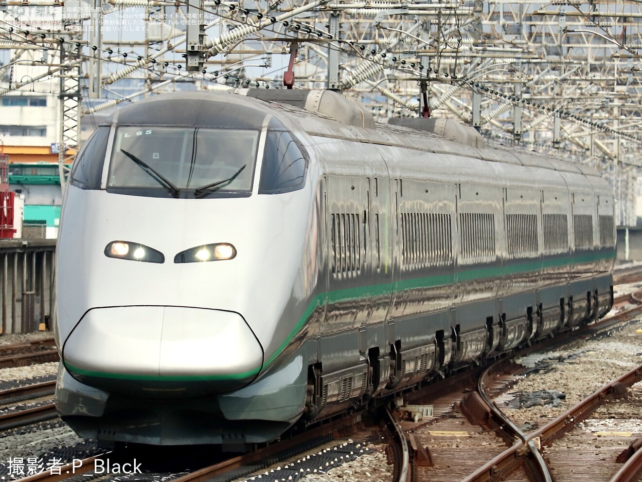 JR東】E3系L65編成「E3系＆E7系撮影会 in新潟新幹線車両センター