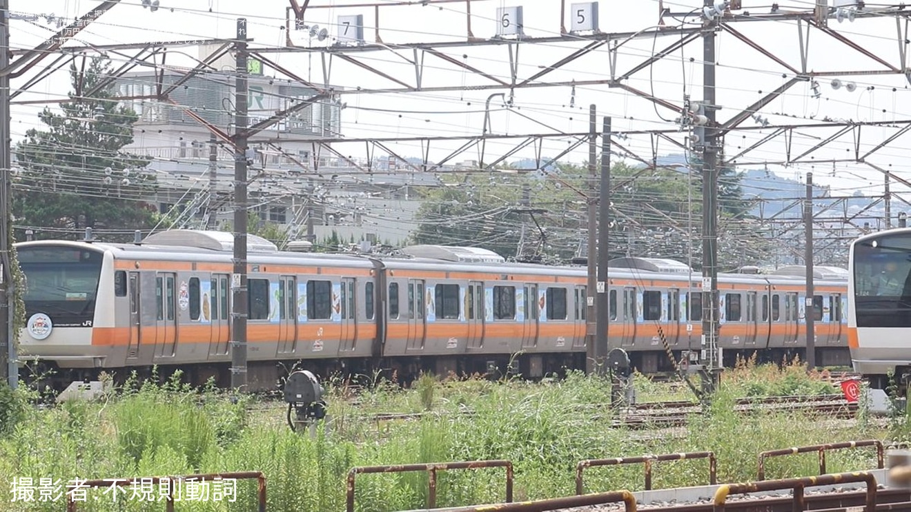 【JR東】209系トタ82編成が編成番号札を取り外しの拡大写真