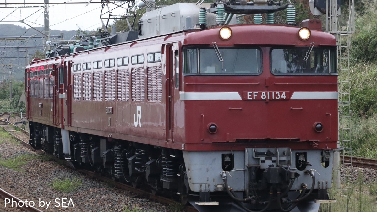 ED75です。 ED75 1000番台 後期型 | 鉄道模型店 Models IMON