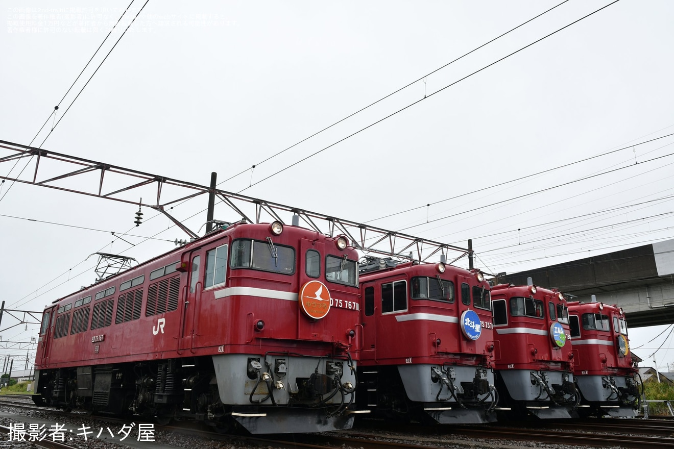 【JR東】「ED75交流電気機関車を4両並べた撮影会」開催の拡大写真