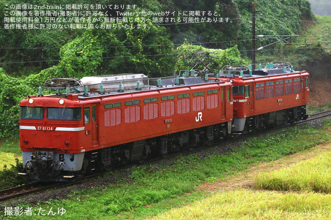 【JR東】ED75-767が仙台へ配給輸送を松川～金谷川間で撮影した写真