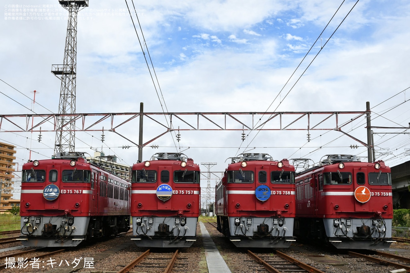 【JR東】「ED75交流電気機関車を4両並べた撮影会」開催の拡大写真