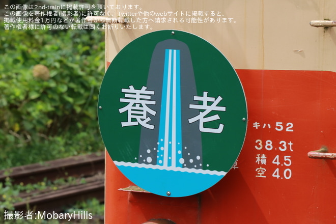 【いすみ】「キハ52-125」が臨時運行(2024年9月21日)