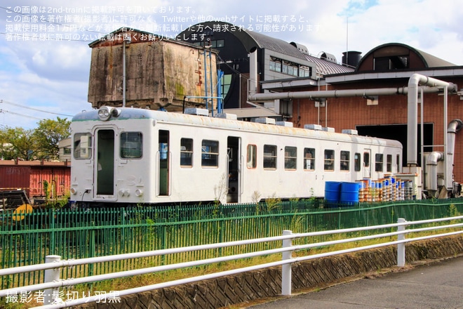 【真岡】真岡に保存されているキハ20-247が真っ白な姿に