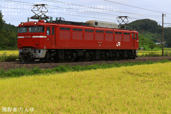 【JR東】EF81-134が新潟車両センターへ返却回送を久田野～白河間で撮影した写真