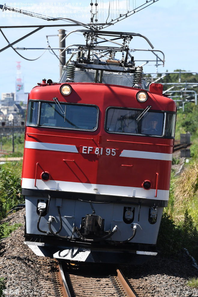 【JR東】EF81-95 神立試単(20240926)を天王台駅で撮影した写真