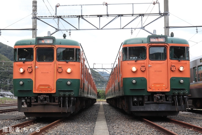 を新見列車区で撮影した写真