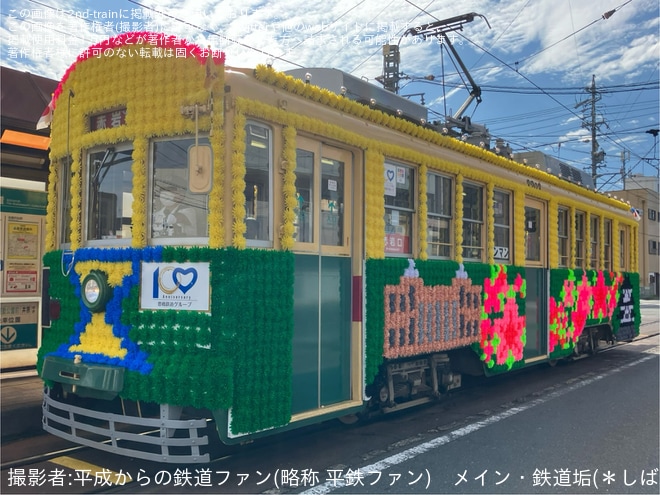 【豊鉄】「フラワートラム(花電車)」が臨時運行