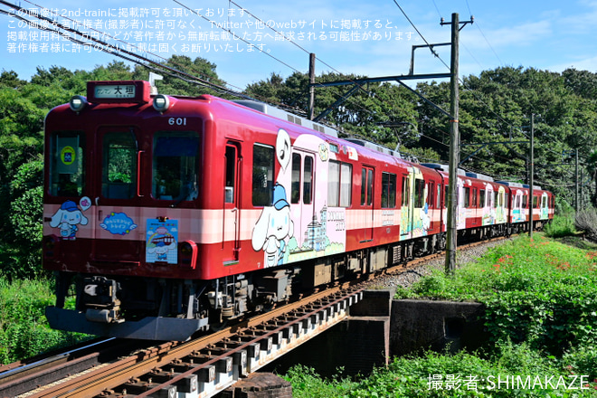 【養老】養老鉄道 × Cinnamoroll「みんなをつなぐトレイン」ラッピング開始