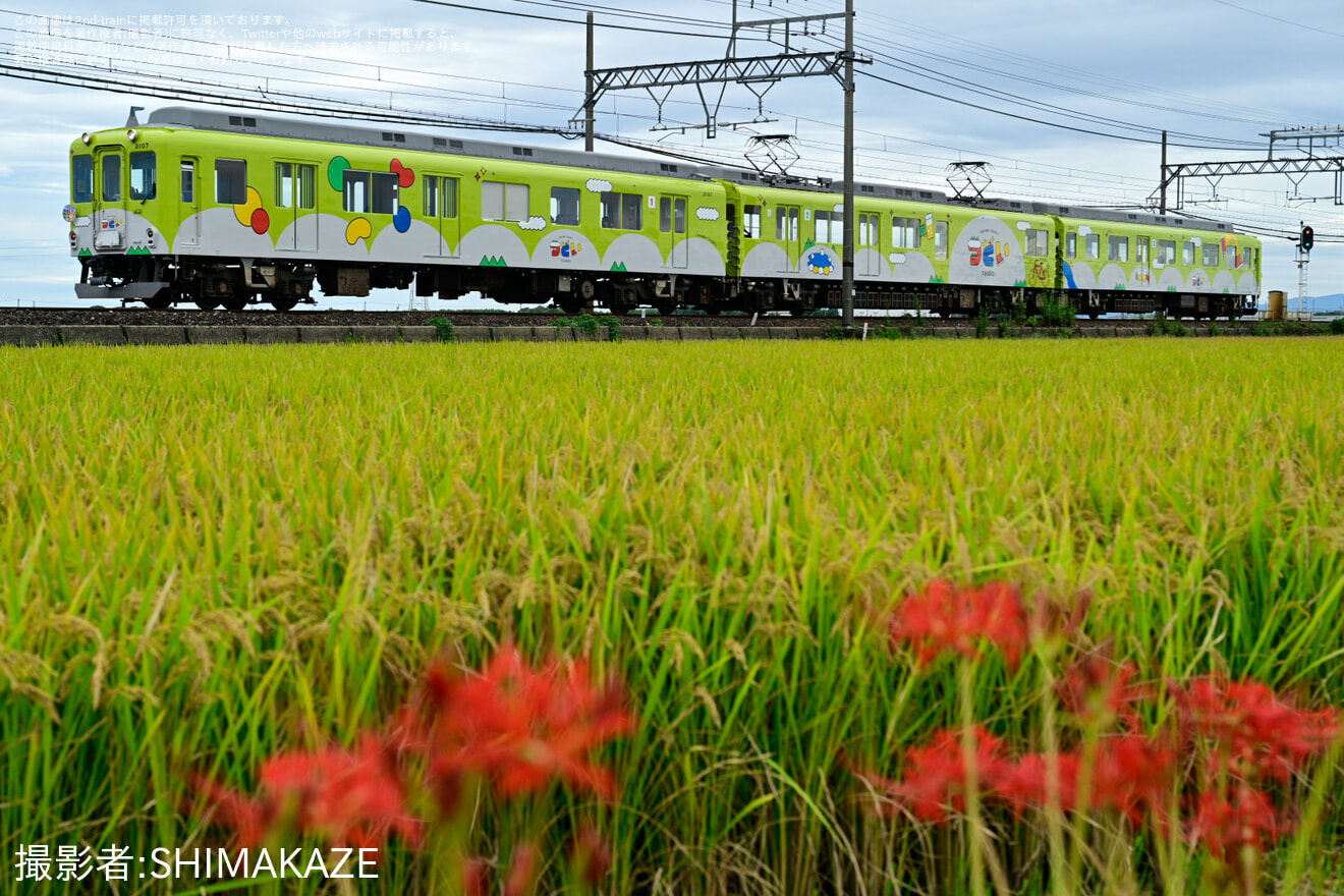 【近鉄】観光列車「つどい」で行くわんわん列車ツアーの拡大写真