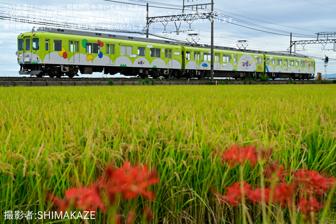 を中川～桃園間で撮影した写真