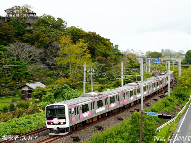 【JR東】「E501系 SAKIGAKE」使用「TRAIN BAR 常陸野」ツアーが催行