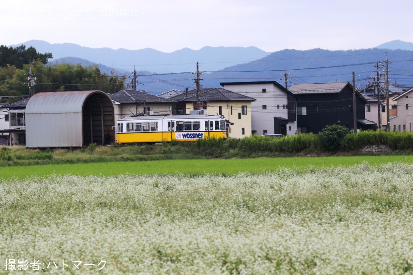 【福鉄】空調を屋根に新たに乗せたレトラム貸切電車ツアー「FIRST RE:RETRAM」が催行の拡大写真