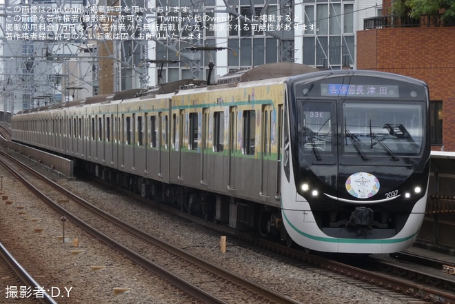 【東急】2020系2137Fが「南町田グランベリーパーク号」仕様に