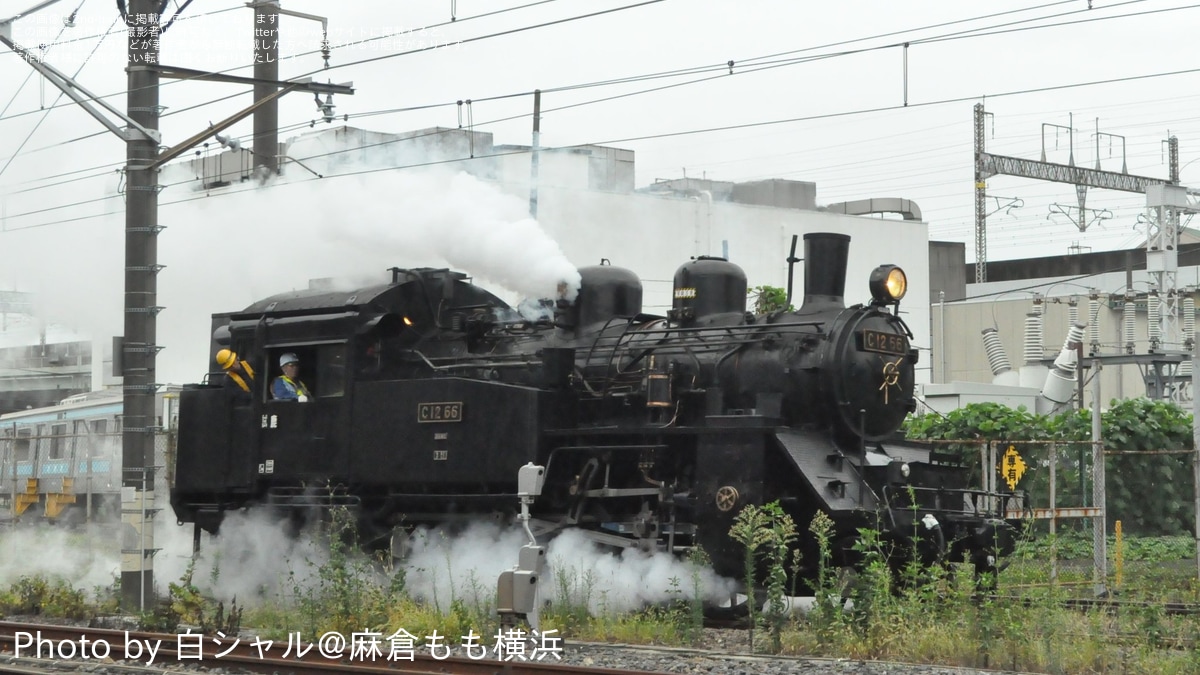超特大蘇鉄  値下げしました！ スウェーデン国鉄、2026年に新型高速鉄道車両「Zefiro Express」を導入