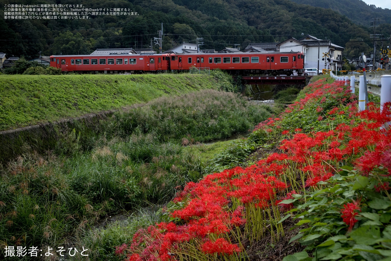 【JR西】キハ40-2046が救援回送の拡大写真