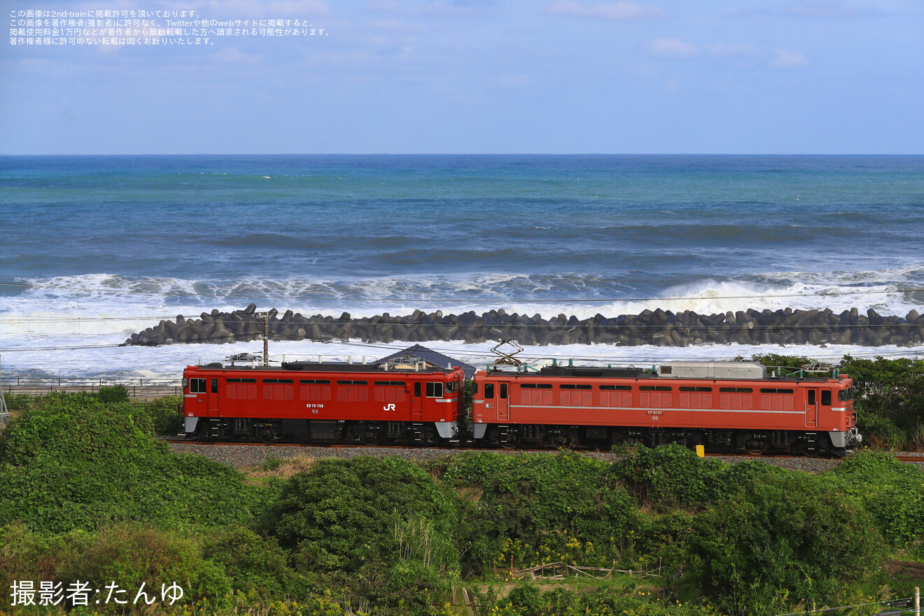 【JR東】ED75-759が水戸までEF81-81牽引で配給輸送の拡大写真