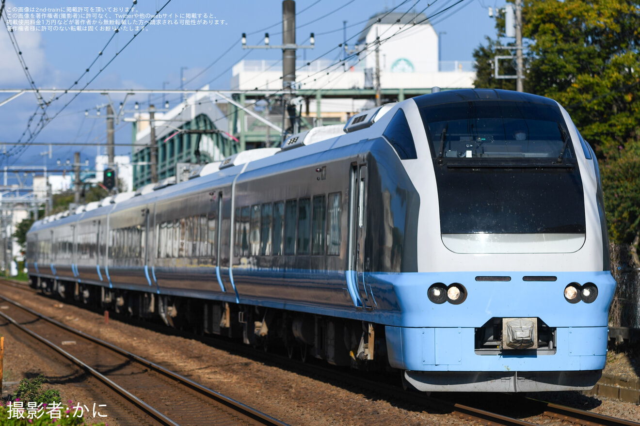 【JR東】臨時特急「海浜公園コキア青梅号」が運転の拡大写真