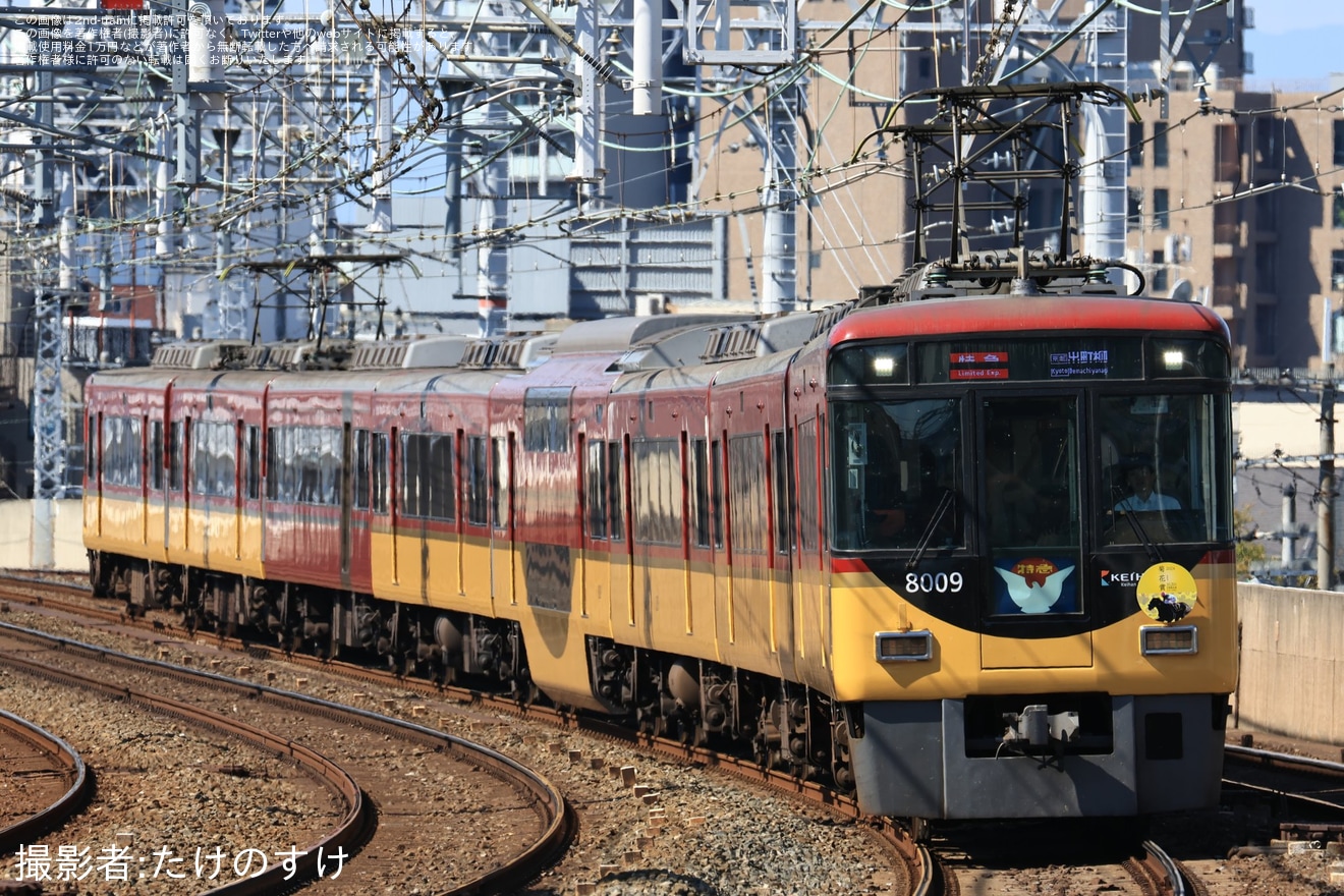 【京阪】「菊花賞2024」ヘッドマークを取り付け開始の拡大写真