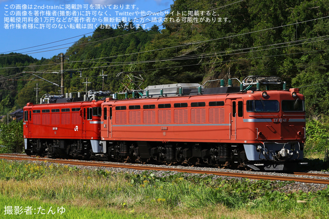 【JR東】ED75-759が仙台までEF81-81牽引で配給輸送を不明で撮影した写真