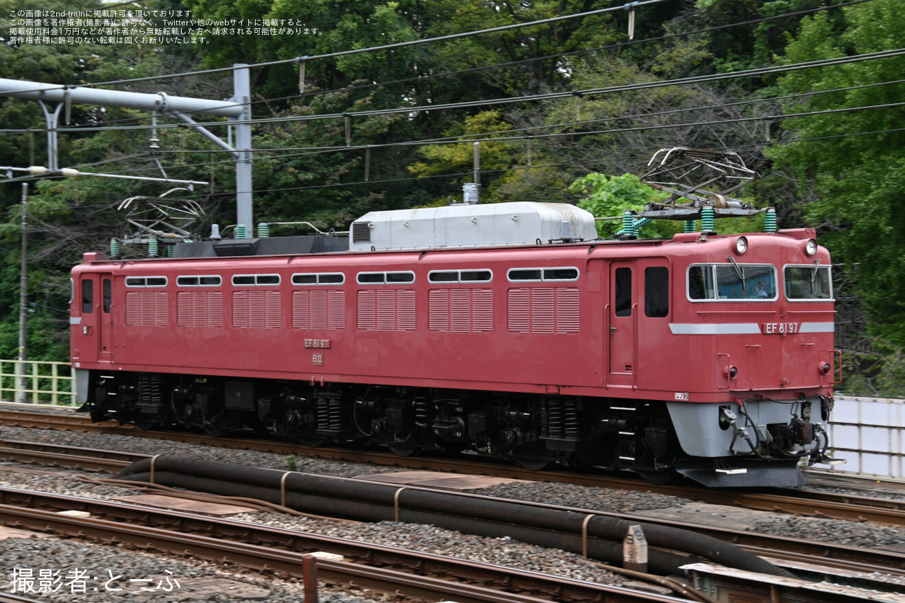 【JR東】EF81-97「往年の機関車展示撮影会」からの返却回送の拡大写真