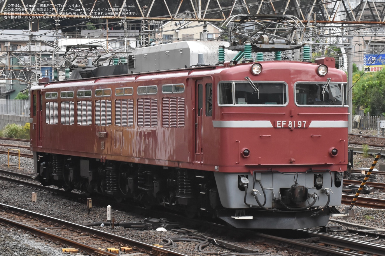 【JR東】EF81-97「往年の機関車展示撮影会」からの返却回送の拡大写真