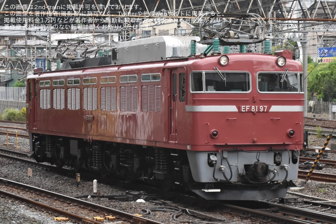 【JR東】EF81-97「往年の機関車展示撮影会」からの返却回送を北松戸～松戸間で撮影した写真