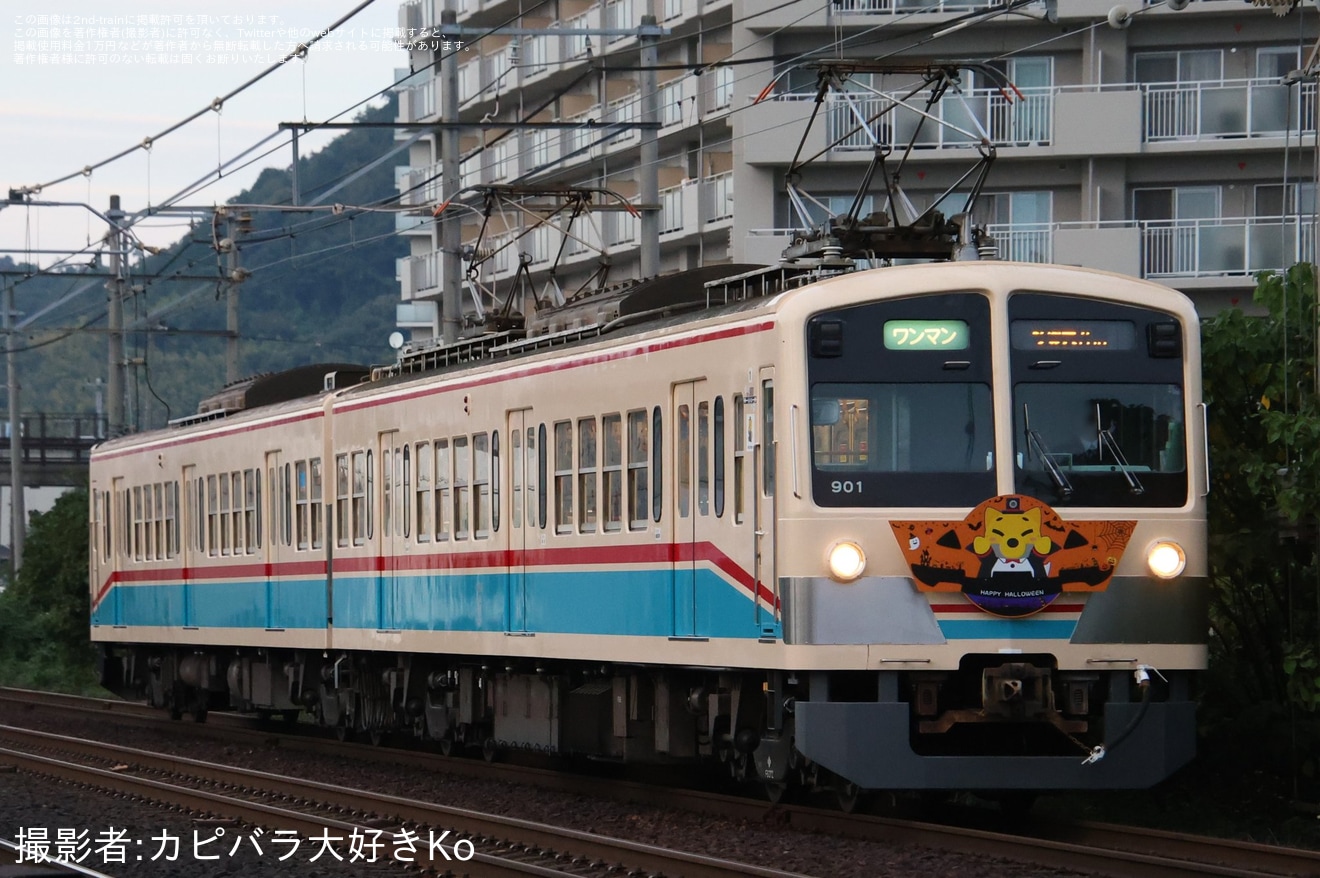 【近江】「ハッピーハロウィン電車」ヘッドマークを取り付け開始の拡大写真