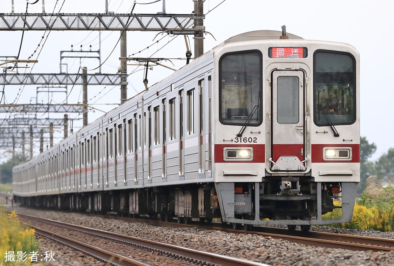 【東武】30000系31602F+31402F川越整備所入場回送の拡大写真