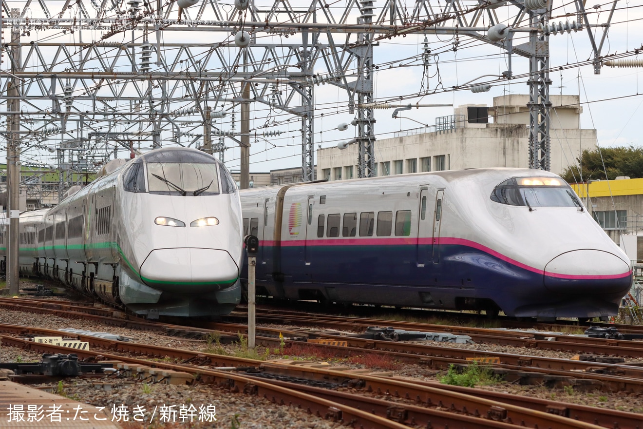 【JR東】「第36回新幹線車両基地まつり」開催の拡大写真