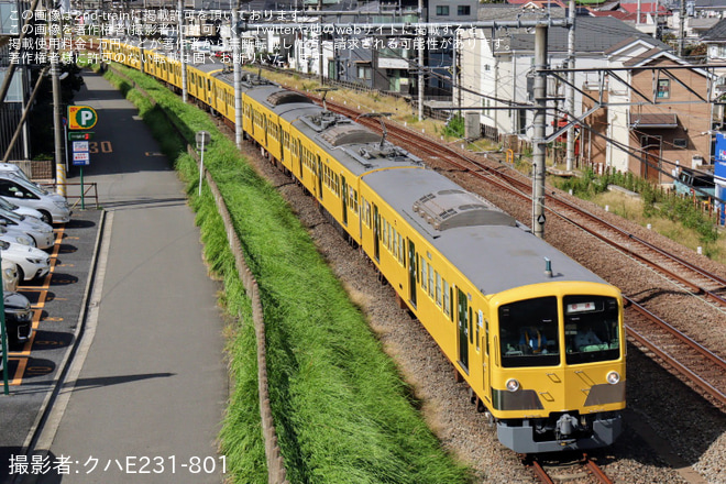 【西武】2000系2451F+2453F 近江鉄道譲渡甲種輸送を所沢～秋津間で撮影した写真