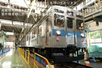 byshinkyu