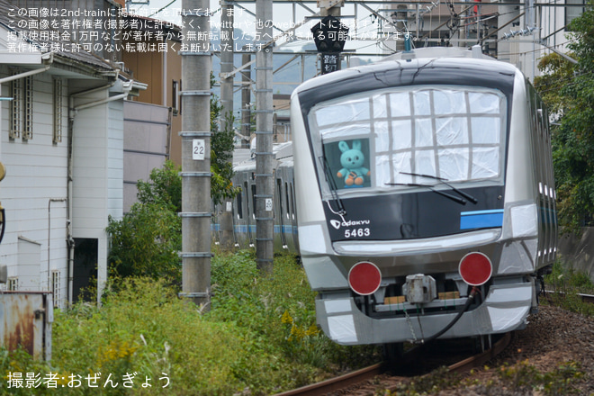  【小田急】5000形5063×10(5063F)J-TREC横浜事業所出場甲種輸送を大船～北鎌倉間で撮影した写真