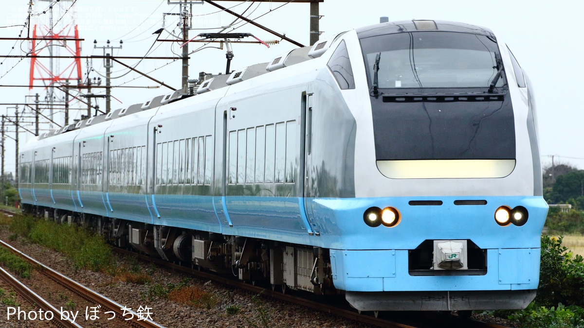 JR東】特急「海浜公園コキア君津号」が臨時運行(2024) |2nd-train鉄道