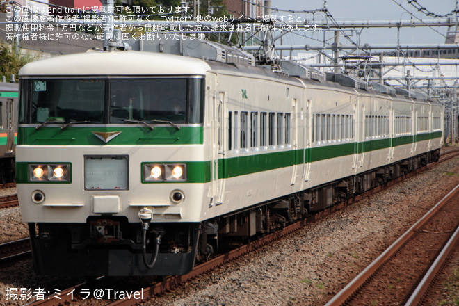 【JR東】185系 C1編成使用の「鎌倉訪問号」が運転を新子安駅で撮影した写真