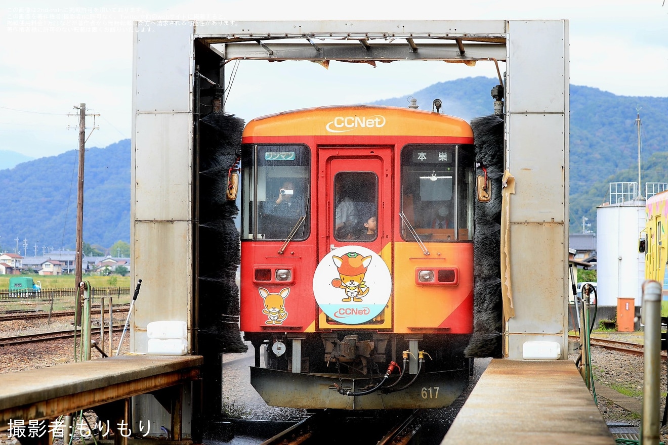 【樽見】樽見鉄道開業40周年記念イベント「たるてつまつり」開催(2024年10月)の拡大写真