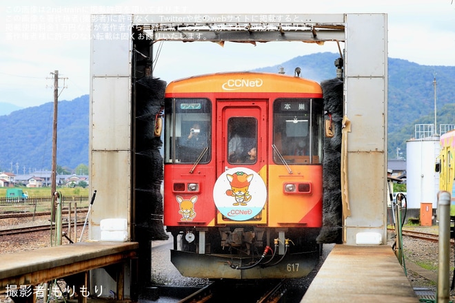 【樽見】樽見鉄道開業40周年記念イベント「たるてつまつり」開催(2024年10月)