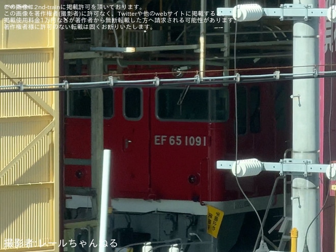 【JR貨】EF65-1118に仮装していたのはEF65-2091が種車の可能性が高いことがあきらかにを不明で撮影した写真