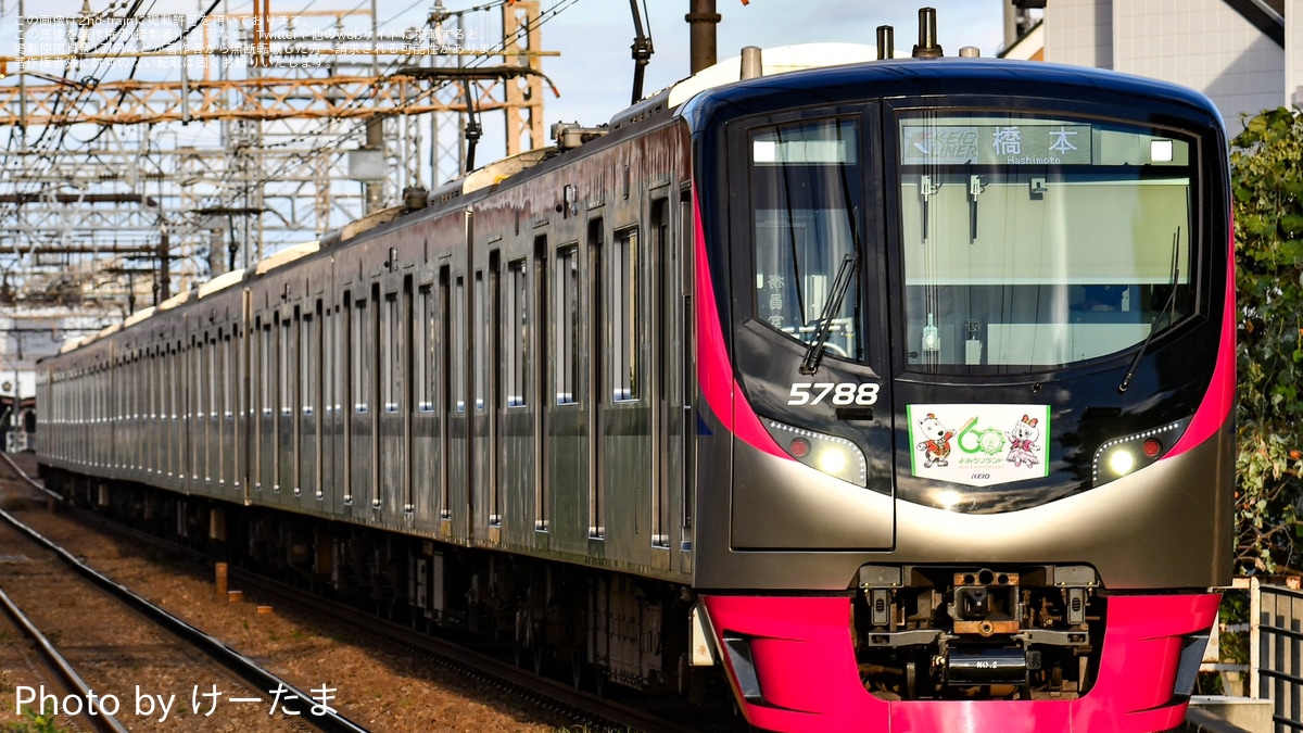 2ccdedd2f76d219317af7542555728